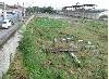 Developable Lot for Lease in Calamba, Laguna